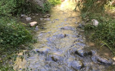Las Canales de Padules. Un oasis de la Alpujarra Almeriense que no te puedes perder.